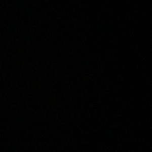 Meet your Posher, Rex